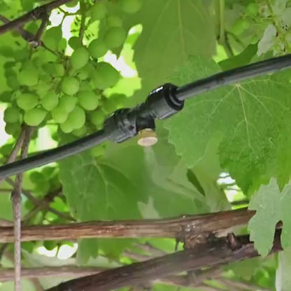 Aquadon - Outdoor cooling system